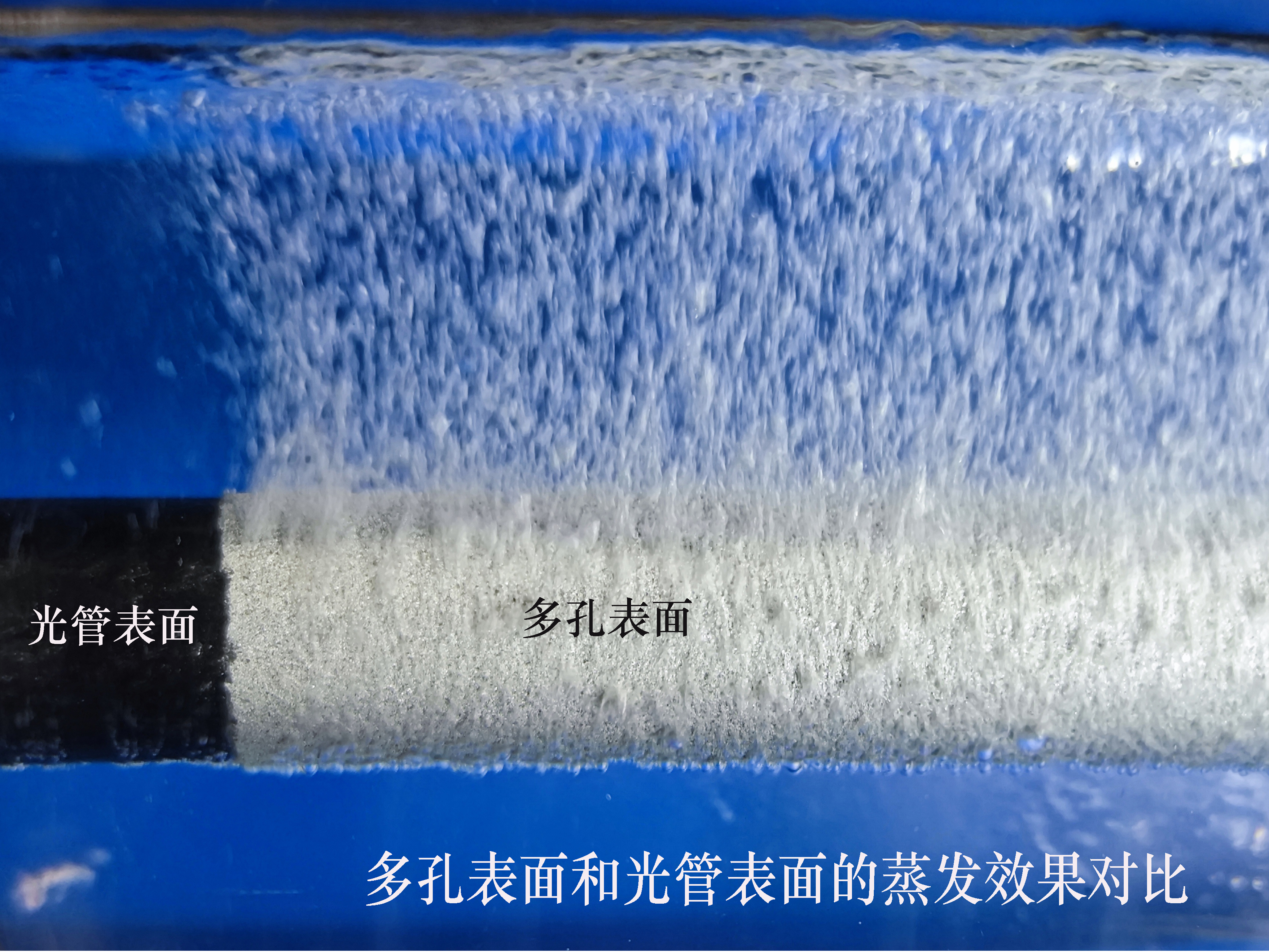 蒸发对比试验